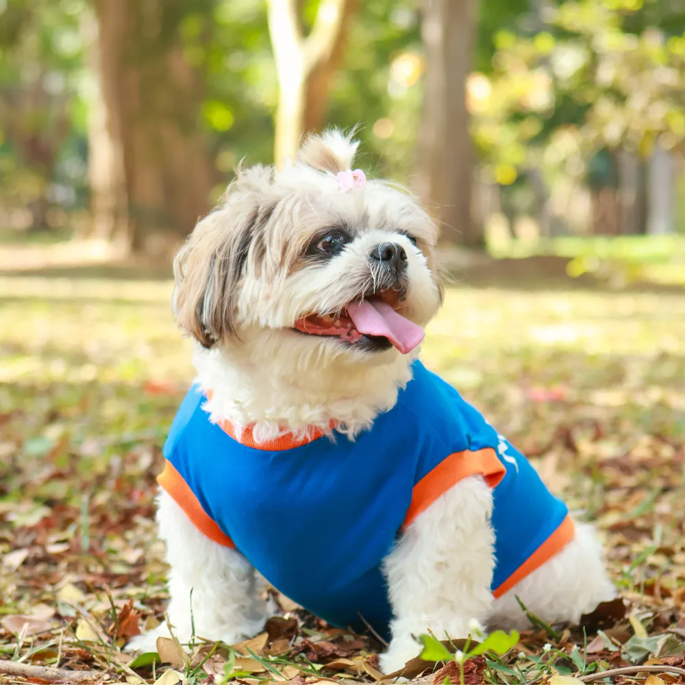 Little Monster Dog T-shirt (Blue)