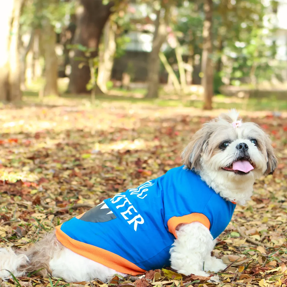 Little Monster Dog T-shirt (Blue)