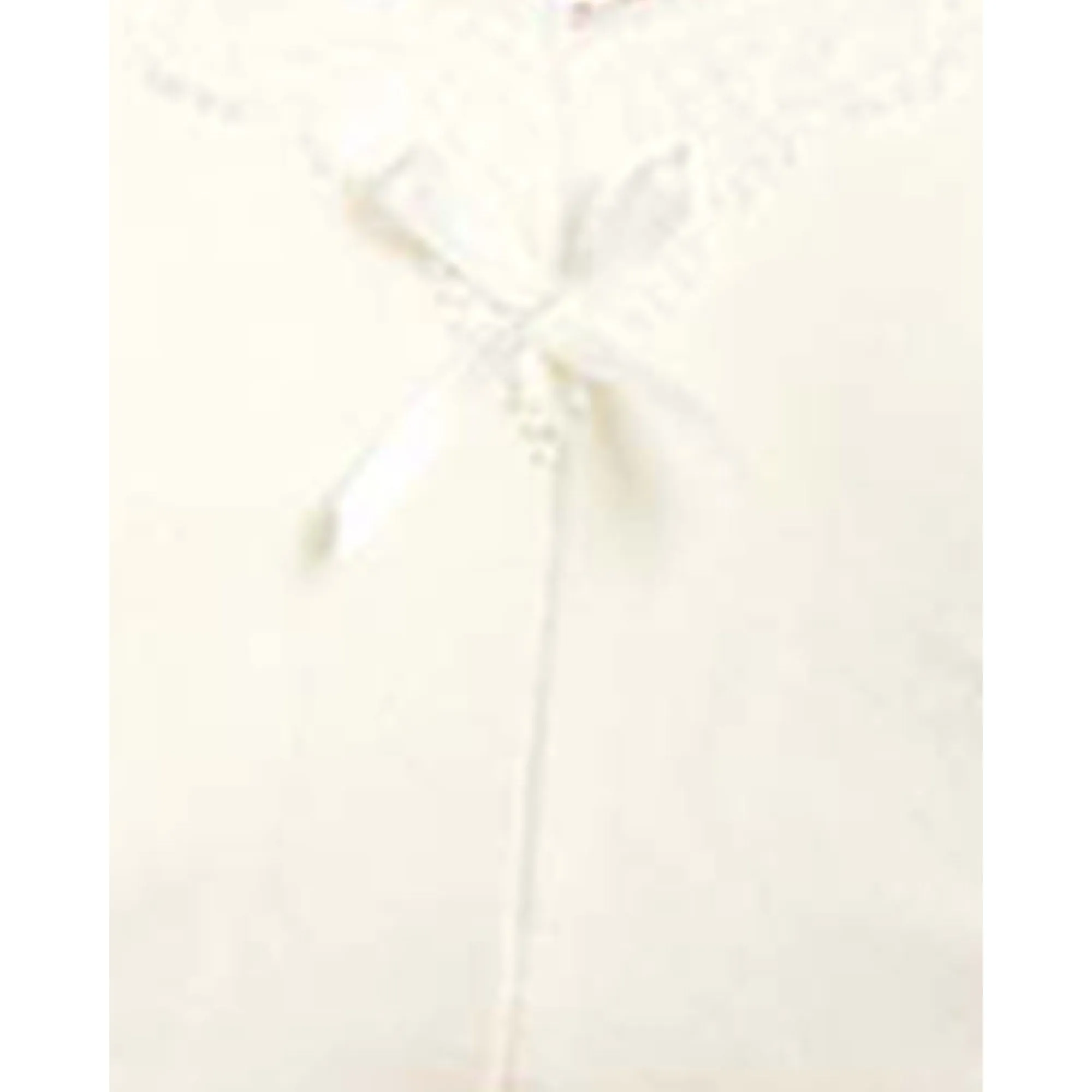 New Câlin Organic Cotton Wireless Nursing Bra